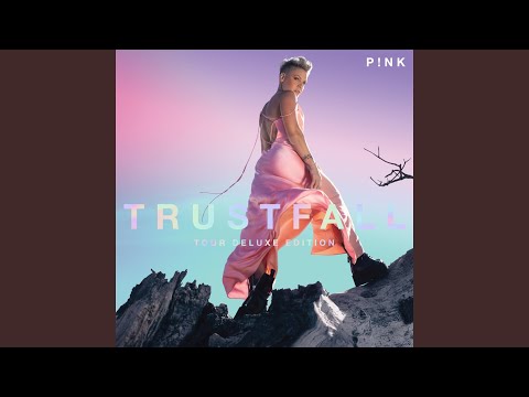 Pink - All Out Of Fight