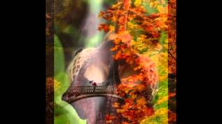 Watch Holly Cole Onion Girl video