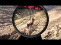 Burris Eliminator III Laserscope