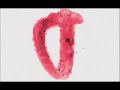 Magic Dirt - Plastic Loveless Letter