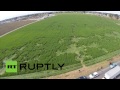 Drone footage: UFO-style mysterious crop patterns in Texcoco, Mexico