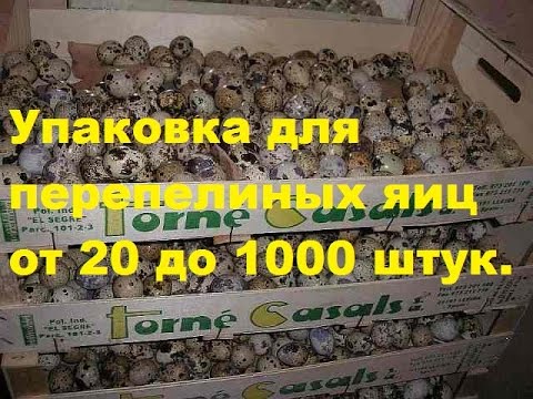 Как сделать поддоны для кроликов Как сделать поддоны для кроликов