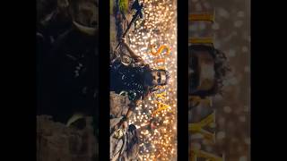 4K Quality Kanguva Glimpse