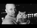 Strangest Things Accidentally Filmed In Movies