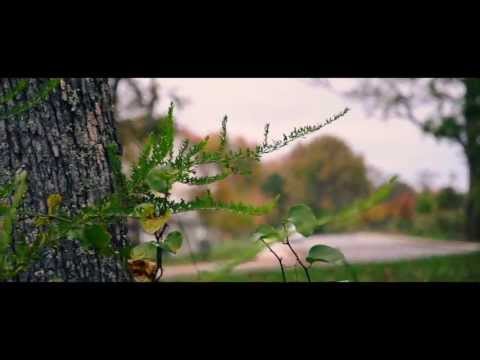 Dodge Avenger, промо
