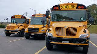 Petsworth Elementary School Buses