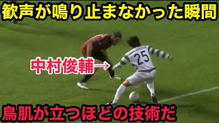 LomSSEiLP-s Video Image