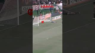 LpEeb-JsQVg Video Image