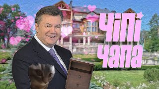Янукович - Чіпі Чіпі Чапа Чапа By Monrote