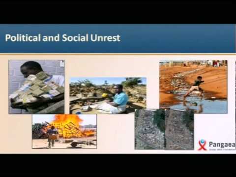 Corporate Event or Wedding Planner 