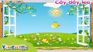 Top 10+ bài thơ cây dây leo đầy đủ nhất
