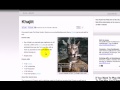 Wordpress - Automatisch Internal Linkbuilding doen