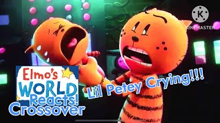 Lil Petey Crying Elmos World Reacts Crossover