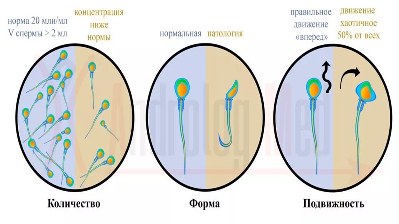 Самцы спустили много спермы на японских шлюх