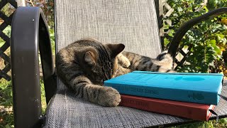 The Habit Nest Morning Sidekick Journal