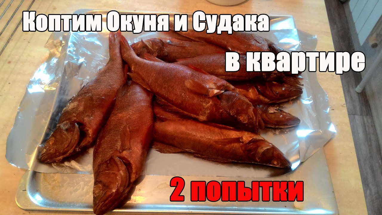 Окунь горячего копчения в домашних условиях рецепт Окунь горячего копчения в домашних условиях рецепт
