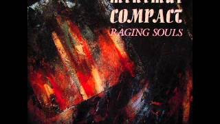 Watch Minimal Compact Autumn Leaves video