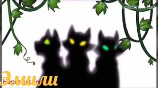 Mep Ostrolap Cats Warrion
