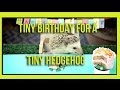 Tiny Birthday For A Tiny Hedgehog (Ep. 2)
