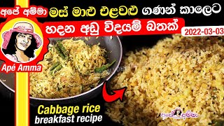 Cabbage rice for breakfast by Apé Amma