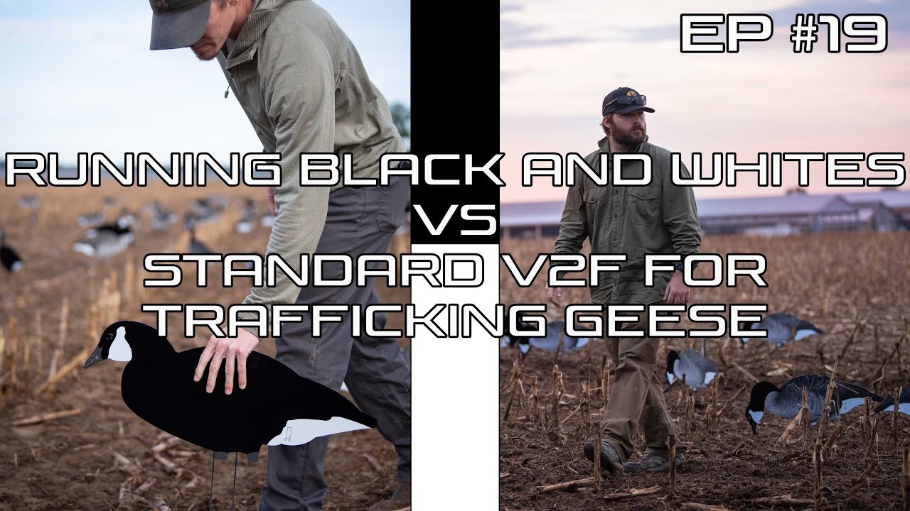 FIELD FACTS WITH FORREST