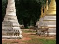voyager en birmanie