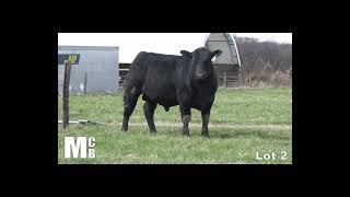 McKean Brothers 2022 - Lot 2