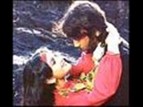 tu mera jaanu hai - Hero 1983