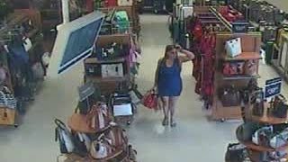 Sheriffs Department Needs Help Finding Purse Thief