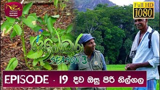 Sobadhara - Sri Lanka Wildlife Documentary | 2019-07-26 | Nilgala