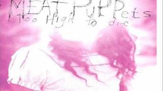 Watch Meat Puppets Comin Down video