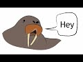 Animal Communication
