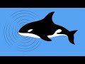 Animal Communication