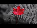 Wake Up Call Video preview