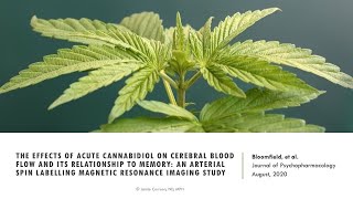 Can CBD improve memory?