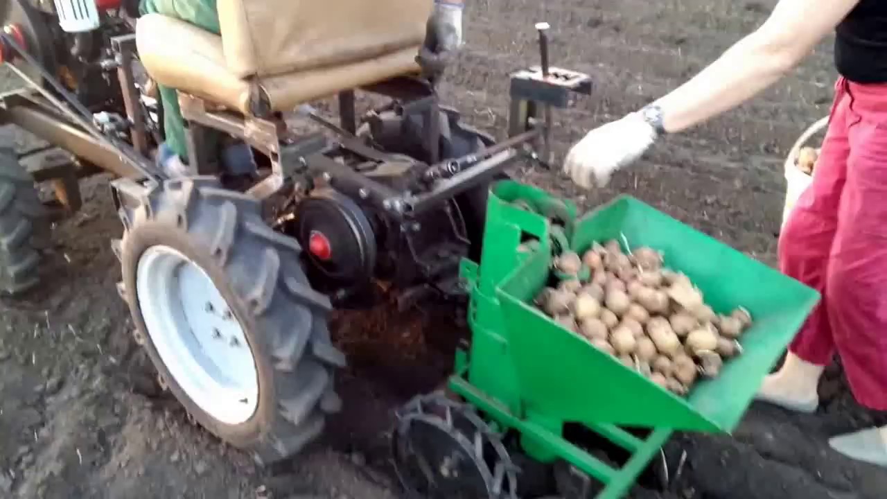Каталог садовых культур Кислицына А. А. (город Кемерово) Правила посадки красной смородины и уход видео, когда