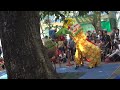 Mua Lan Dip Tet Tay O Cong Vien Van Hoa images Mua Lan Dip Tet Tay O Cong Vien Van Hoa