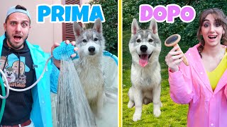 Primo Bagnetto Al Nostro Cucciolo Di Cane Marty E Yuko