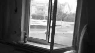 Watch Remedy Revenge video