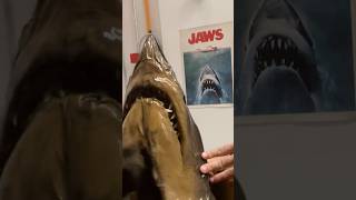 Meet The Shark That Inspired Jaws