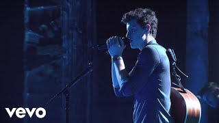 Shawn Mendes - Bad Reputation