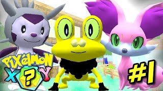 Pixelmon Randomizer X & Y ? EPIC NEW STARTERS! (Minecraft Pixelmon 5.0 Roleplay)