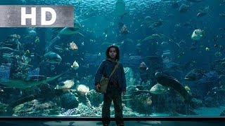 Aquaman Balıklarla Konuşuyor | Akvaryum Sahnesi | Türkçe Dublaj