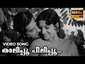 Thalipoo Peelipoo Video Song | Sujatha | Prem Nazir, Jayabharathy | 1977