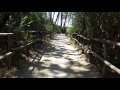 La Spiaggia Video preview