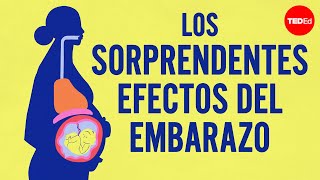 Los Sorprendentes Efectos Del Embarazo