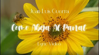Watch Juan Luis Guerra Como Abeja Al Panal video