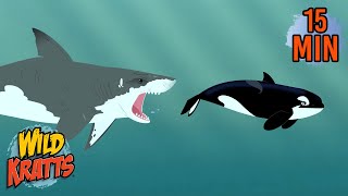 Every Creature Rescue Part 23 Protecting The Earths Wildlife New Compilation Wild Kratts