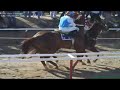 CARRERA DE CABALLOS "LEO ORTIZ"