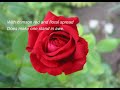 God's Fragrant Rose - Roses ecards - Flowers Greeting Cards God's Fragrant Rose - Roses ecards - Flowers Greeting Cards